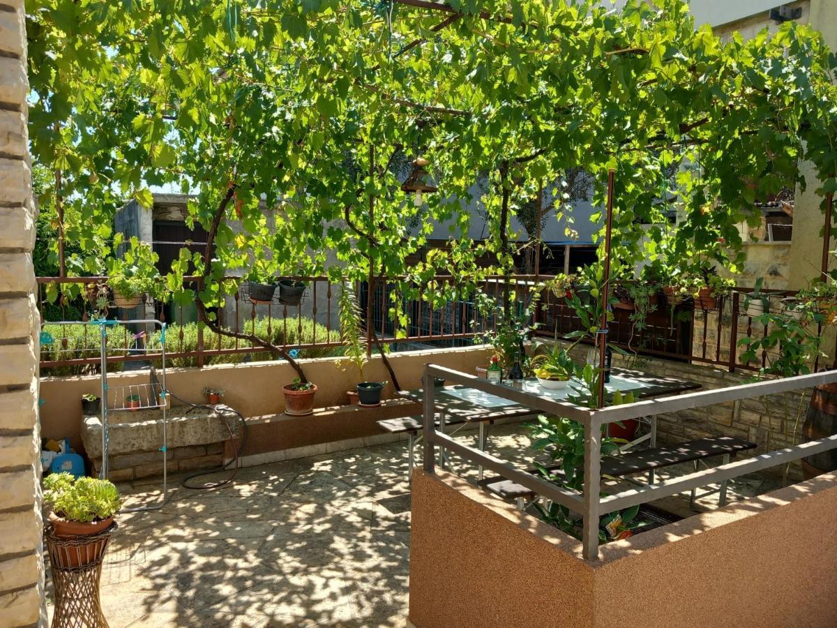 Apartman Oli Ζαντάρ Εξωτερικό φωτογραφία