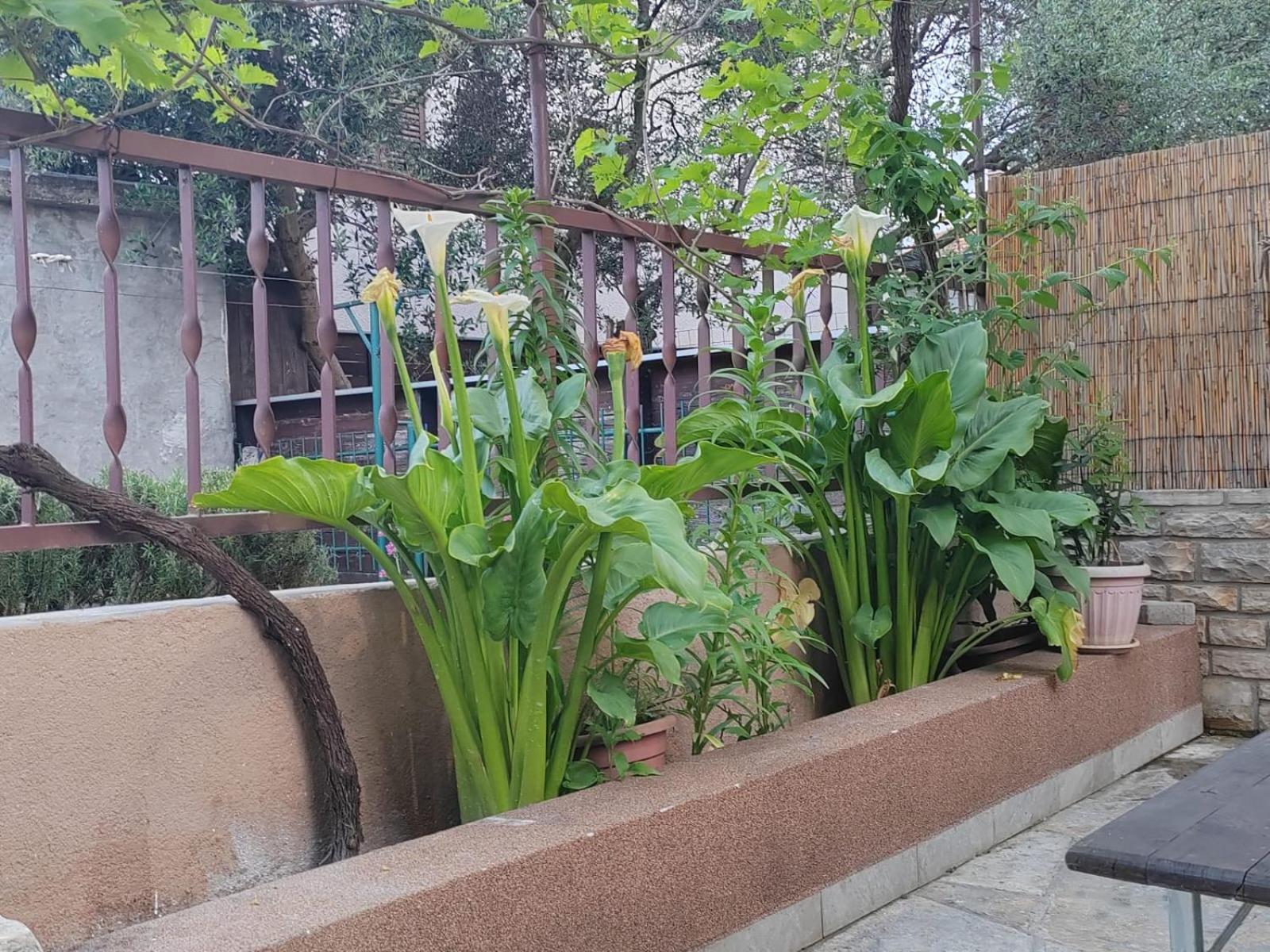 Apartman Oli Ζαντάρ Εξωτερικό φωτογραφία